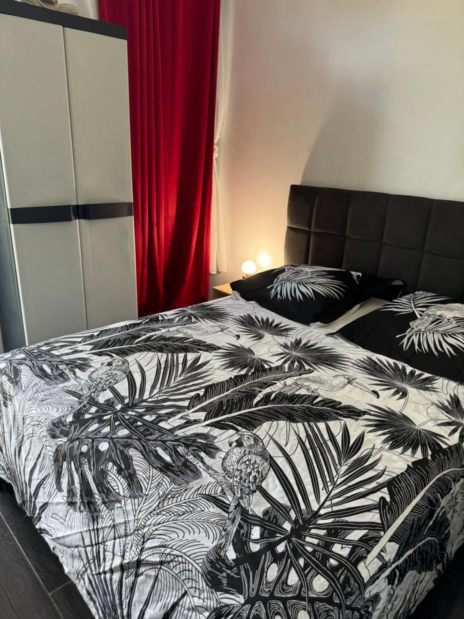 Bed and Breakfast Skys Location Pakehina Schoelcher Exterior foto